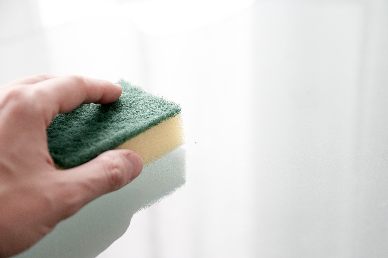 cleaning, washing, sponge-268068.jpg